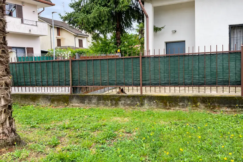 Il giardino prima dell'intervento: prato e recinzione